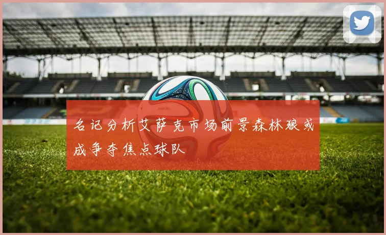名记分析艾萨克市场前景森林狼或成争夺焦点球队